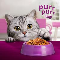 Gambar WHISKAS Makanan Kering untuk Kucing Dewasa 480gr - Tuna dari Whiskas Indonesia Kota Tangerang 2 Tokopedia