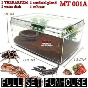 MT001 enclosure kandang terrarium mini kecil tarantula gecko kelomang