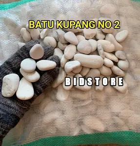 Batu Koral Kupang putih Coral Hias batu taman dan aquarium 1kg