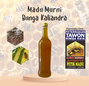 Madu murni bunga kaliandra 600ml