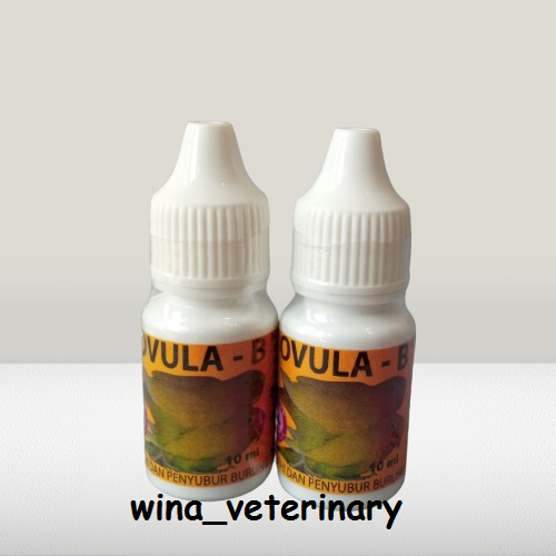 Gambar OVULA B DROP 10ML - OBAT BIRAHI DAN PENYUBUR KANDUNGAN BURUNG BETINA PENINGKAT STAMINA BURUNG JANTAN - TERMURAH dari Wina Pet and Poultry Kota Semarang Tokopedia