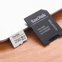 Gambar SanDisk High Endurance Micro SD 256 GB CL10 - MicroSDXC-1 V30 U3 - ORI dari Doran Gadget Official Store Kota Balikpapan 5 Tokopedia