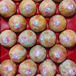 BUAH PLUM DINO TURTLE EGG USA SUPER 1 KG