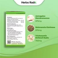 Gambar Diabepil / Xiao Ke Wan - Obat Herbal Membantu Meringankan Gejala Kencing Manis | Akar Astragalus by Herba Radix dari Sinar Herba Radix Kab. Tangerang 3 Tokopedia