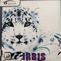 Gambar SPINLORD IRBIS [ PIMPLE IN ] - Hitam, Max / 2.2MM dari ASSPORTKG Kota Administrasi Jakarta Utara 1 Tokopedia