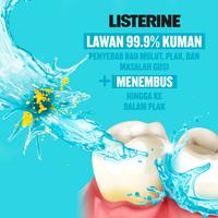 Gambar Listerine Cool Mint 1 Liter Antiseptic Mouthwash – Obat Kumur Mulut Antiseptik Membersihkan Gusi dari Kenvue Official Store Kota Administrasi Jakarta Timur 4 Tokopedia
