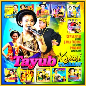 Kaset MP3 Audio Musik 90 Lagu Jawa Campursari TAYUB Kreasi Album Terbaru