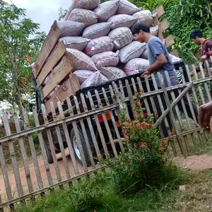 cocohusk/alas kandang reptil M 50 karung