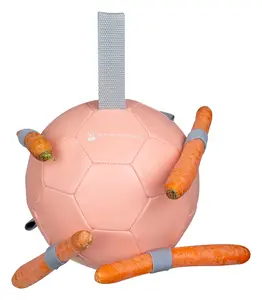 WALDHAUSEN CARROT HORSE PLAY BALL