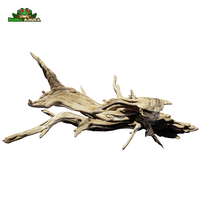 Gambar Kayu Santigi Laut ukuran XL dari Dunia Anura 99 Kota Administrasi Jakarta Barat 4 Tokopedia