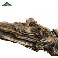 Gambar Kayu Santigi Laut ukuran M dari Dunia Anura 99 Kota Administrasi Jakarta Barat 4 Tokopedia