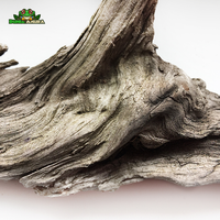 Gambar Kayu Santigi Laut ukuran M dari Dunia Anura 99 Kota Administrasi Jakarta Barat 3 Tokopedia