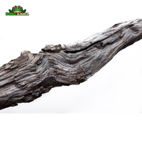 Gambar Kayu Santigi Laut ukuran M dari Dunia Anura 99 Kota Administrasi Jakarta Barat 2 Tokopedia