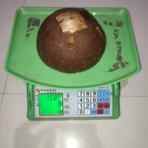 Gula Aren Asli Bali Kualitas Super Grade 1 MURNI