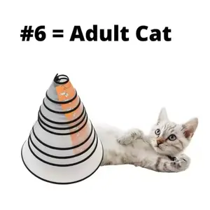 19-24cm 11cm Kerah Pelindung Leher Anjing Kucing Pet Collar Cone Corong Premium Pet Protective Collar Cat Dog Animal Neck Recovery Cone Collar Anti Bite Lick Wound | E-06 6#| SKU 7.002.0133