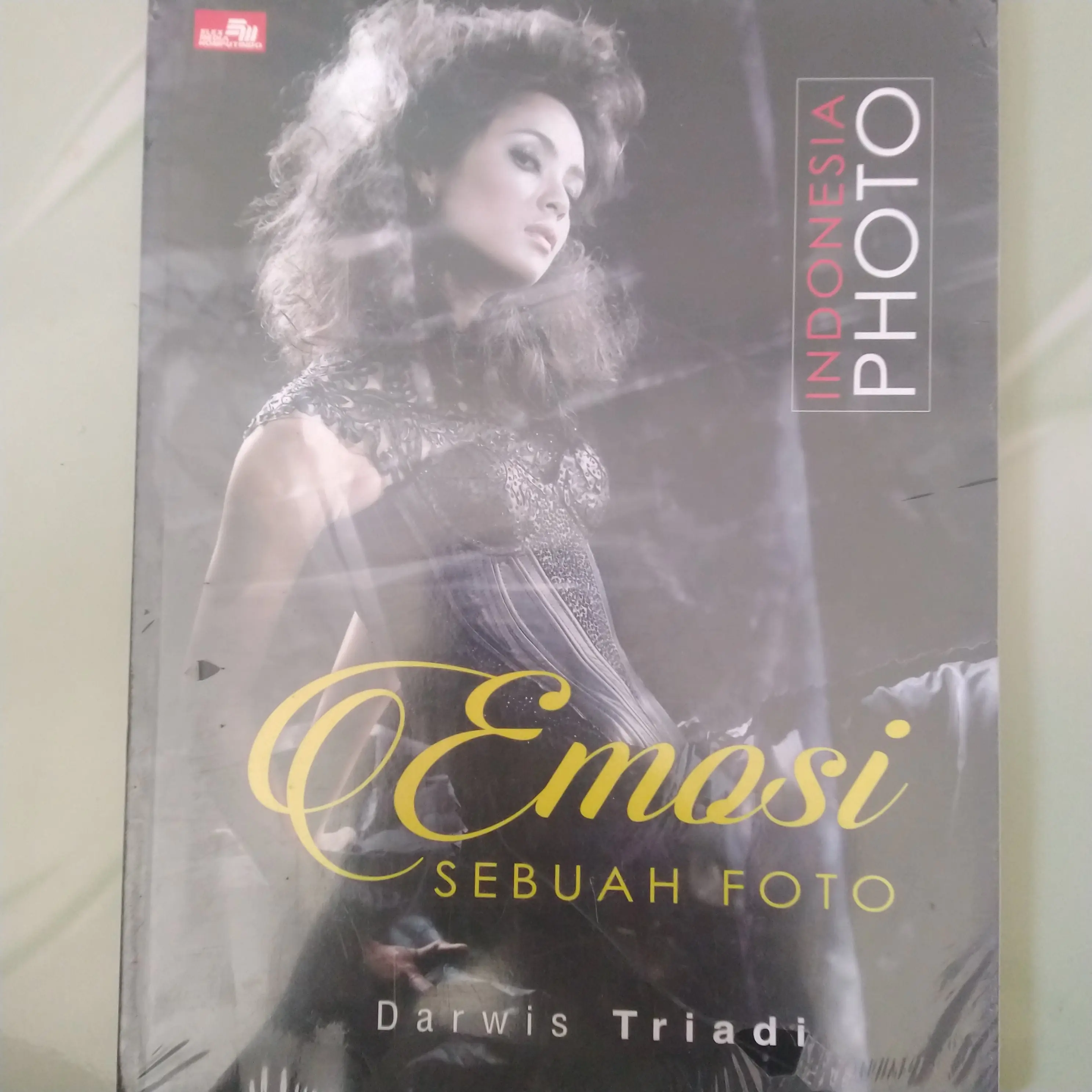 Buku Fotografi Indonesia Photo Emosi Sebuah Foto - Darwis Triadi