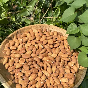 500 GRAM KAÇANG ALMOND PANGGANG - ALMOND ROASTED
