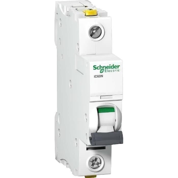 Interruttore Magnetotermico Schneider Electric IC60N 1P 10A Curva D