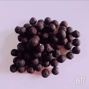 PJ BADU BATU EMPEDU GALLSTONE GALL STONE