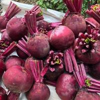 Gambar Buah Bit | Beet Root Fresh-Raja Alpukat - 0.5 Kg dari RAJA ALPUKAT Kota Administrasi Jakarta Timur 4 Tokopedia