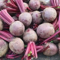 Gambar Buah Bit | Beet Root Fresh-Raja Alpukat - 0.5 Kg dari RAJA ALPUKAT Kota Administrasi Jakarta Timur 2 Tokopedia