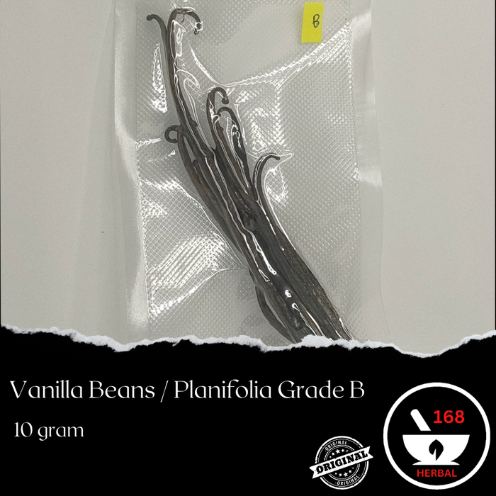 Gambar Vanilla Beans Buah 10GR Grade B Gourmet - Kualitas Terbaik dan Termurah Tanaman Vanili dari Herbal168FJ Kota Administrasi Jakarta Utara Tokopedia