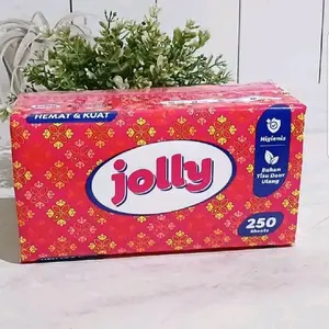 TISSUE / TISU JOLLY 250 SHEETS 2PLY