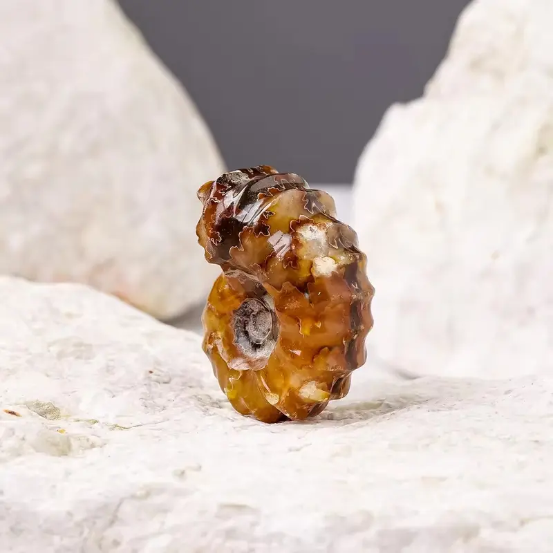 Crystal Cleat Sea Snail Rough Healing Crystal Stone 3
