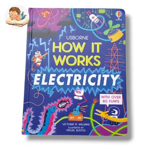 Usborne How It Works Electricity Lift The Flap English Book