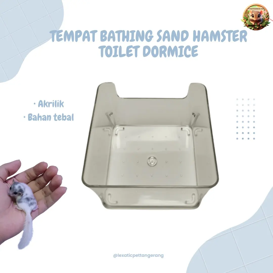 Tempat Toilet Akrilik & Bathing Sand | Toilet African Pygmy Dormice |  Tempat Bathing Sand Hamster Hewan Kecil