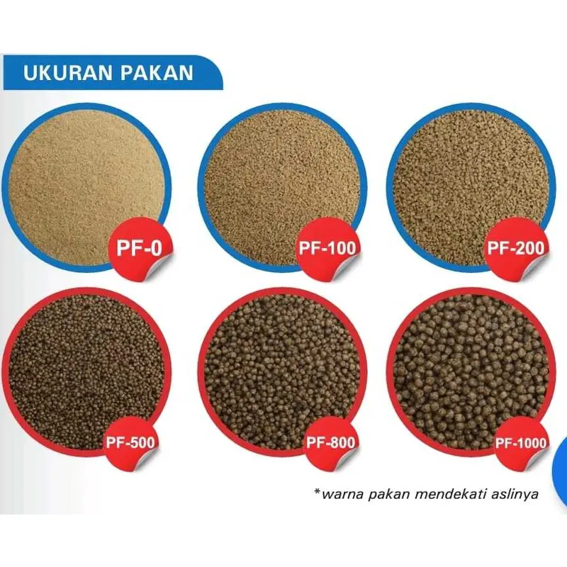 PAKAN IKAN PRIMA FEED MS PF 1000 800 500 200 100 0 128 SAK FENGLI LELE 6
