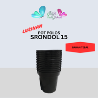 Gambar RAJA INDO Lusinan 12PCS Pot Tinggi Srondol 15 Putih Hitam Merah BataTerracota dari Raja Indo Bekasi Kab. Bekasi 4 Tokopedia