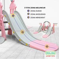 Gambar Mainan Prosotan Seluncuran Ayunan 5in1 Double Slide Perosotan Ganda Playground 001-M1313 - M1313 BIRU 5in1 dari Speedshome Kota Surabaya 4 Tokopedia