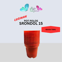 Gambar RAJA INDO Lusinan 12PCS Pot Tinggi Srondol 15 Putih Hitam Merah BataTerracota dari Raja Indo Bekasi Kab. Bekasi 3 Tokopedia