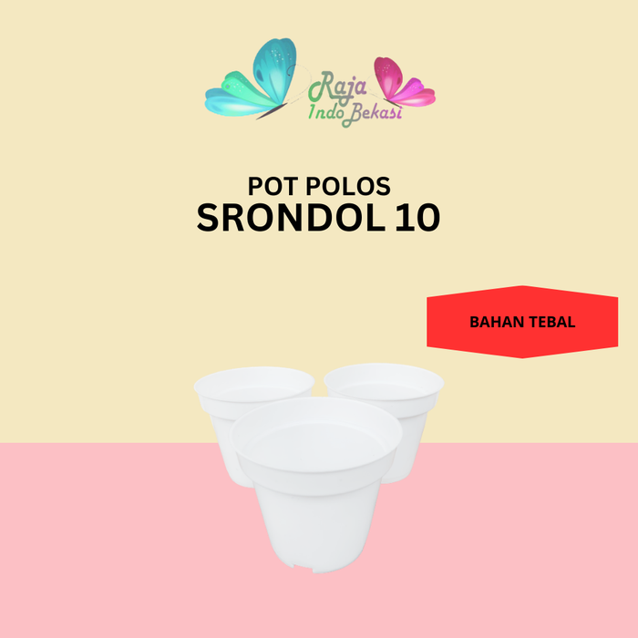 Gambar POT BUNGA 10cm PUTIH Pot Tanaman Hias Grosir Murah Plastik Pot 10 cm dari Raja Indo Bekasi Kab. Bekasi Tokopedia