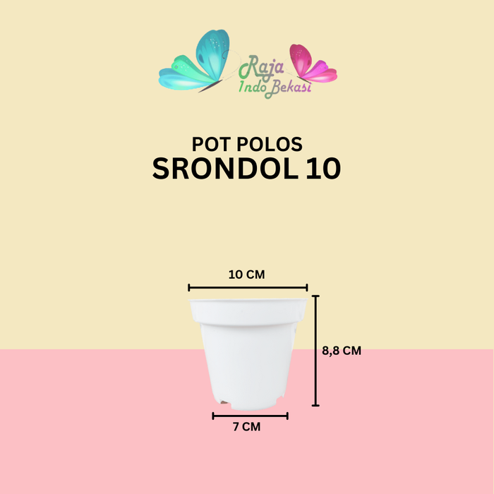 Gambar POT BUNGA 10cm PUTIH Pot Tanaman Hias Grosir Murah Plastik Pot 10 cm dari Raja Indo Bekasi Kab. Bekasi 5 Tokopedia