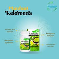 Gambar Obat Hipertiroid Mata, Mata Menonjol, Hipertiroid, Leher Bengkak, - 50 Kapsul dari Ridwan Herbal_NEW Kota Tasikmalaya 3 Tokopedia