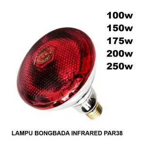 Lampu Pemanas Penghangat InfraRed Babi Ayam Sapi Ternak Reptil Par38