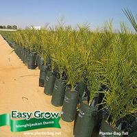 Gambar Easy grow Planter Bag 75 Liter Tall 2 Handle - Hijau dari Easy Grow_NEW Kab. Gunungkidul 2 Tokopedia