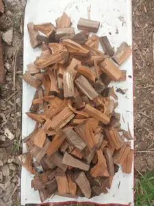 Kayu Bakar Camping Asap Panggang - Fire Wood