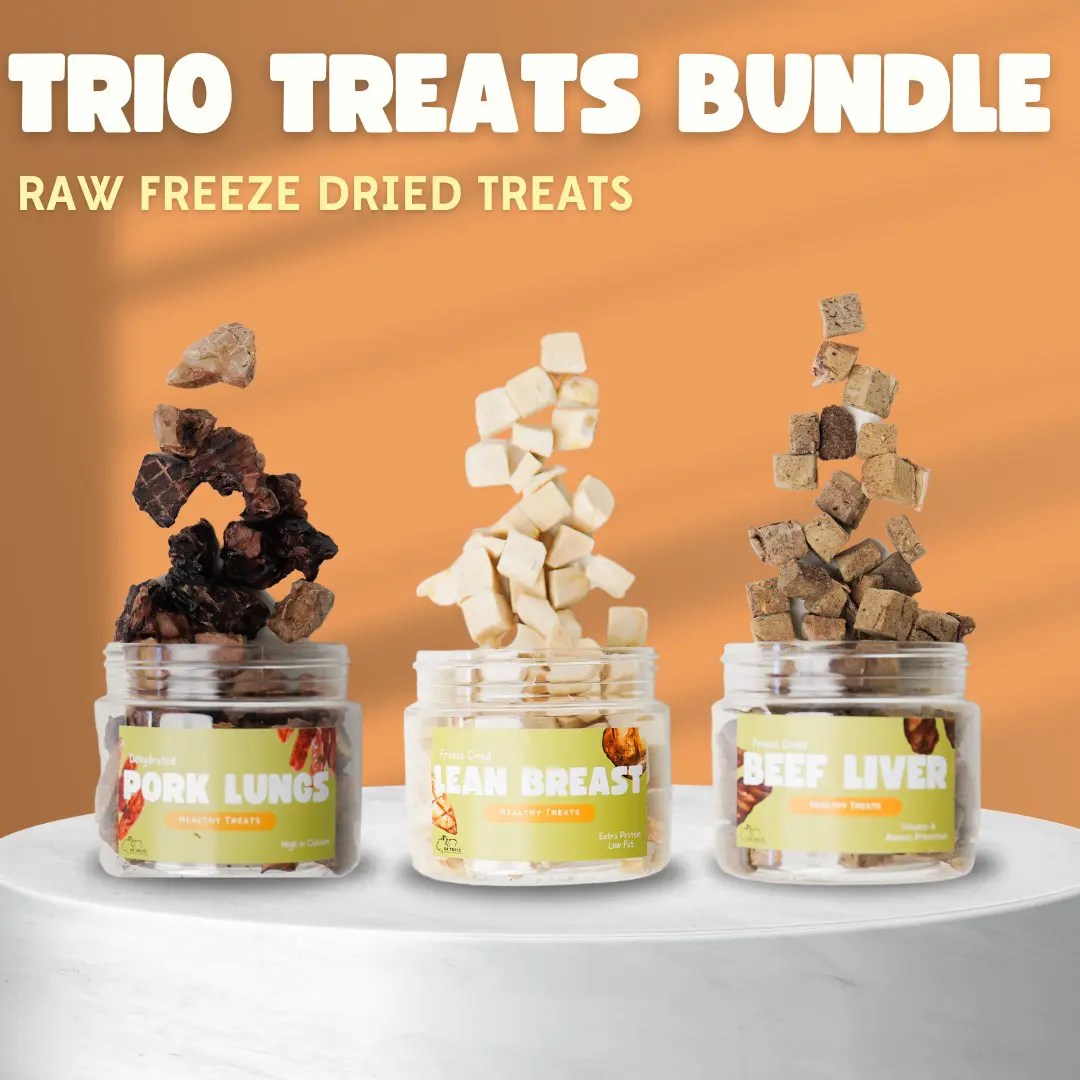 TRIO TREATS/Best Seller Freeze Dried Treats Bundle Snack Anjing Kucing