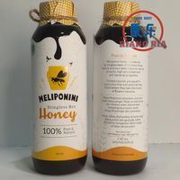 Gambar Meliponini Honey Madu - 500ml dari TO Riang Ria Kota Administrasi Jakarta Utara 2 Tokopedia
