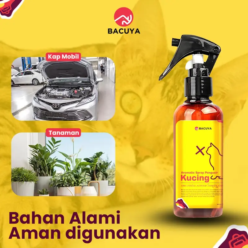 BACUYA Paket Anti Serangga Murah Lengkap Sesuaikan Kebutuhan Rumah Bersih Nyaman Terhindar dari Gangguan Serangga 3