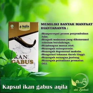 Kapsul Ikan Gabus AQILA Isi 60