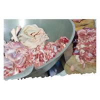 Gambar Daging Kambing Muda Peternakan Lokal - 1/2 Kg dari Intisari Sains Medis Kota Denpasar 1 Tokopedia