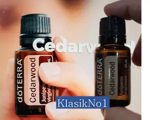 Dottera Cedarwood Pure Essential Oil 15 ml