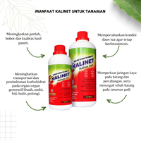 Gambar Kalinet Pupuk Kalium Cair Pembuahan Generatif Tanaman - 1000ML dari PUROTANI.ID Kab. Purworejo 3 Tokopedia