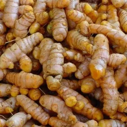 Kunyit Kunir Segar Turmeric Fresh 250gr 500gr 1000gr / 1kg Bumbu Dapur Herbal Rempah-rempah Empon-empon Rimpang Curcuma