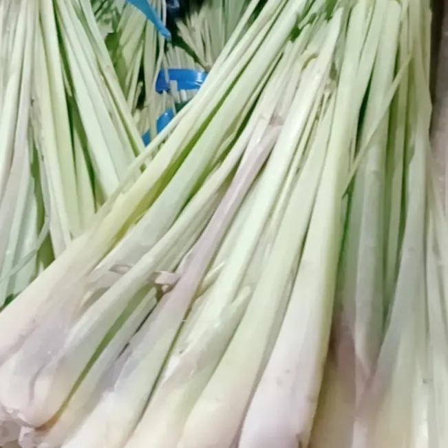 Sereh Segar Serai Segar Lemongrass Fresh 250gr 500gr 1000gr / 1kg Bumbu Dapur Herbal Rempah-rempah Empon-empon