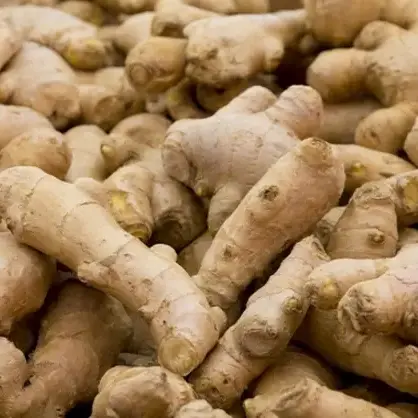 Jahe Emprit Segar Ginger Fresh 250gr 500gr 1000gr / 1kg Bumbu Dapur Herbal Rempah-rempah Empon-empon Rimpang